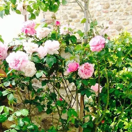 Il Fienile Sotto L'arco Bed & Breakfast *